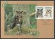 (image for) 1996 WWF Eagle Owl Presentation Booklet