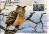 (image for) 1996 WWF Eagle Owl Presentation Booklet