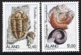 (image for) 1996 Fossils