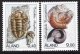 (image for) 1996 Fossils