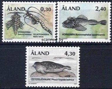 (image for) 1997 Marine Survivors