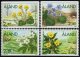 (image for) 1997 Spring Flowers