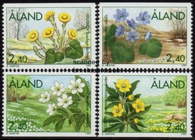 (image for) 1997 Spring Flowers