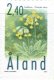 (image for) 1999 Cowslip