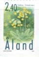 (image for) 1999 Cowslip