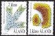 (image for) 1999 Lichens