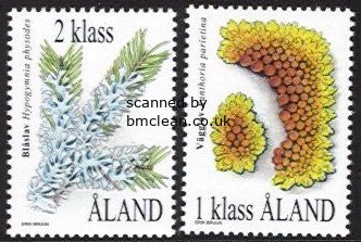 (image for) 1999 Lichens