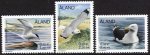 (image for) 2000 Sea Birds