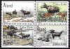(image for) 2000 The Elk