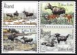 (image for) 2000 The Elk