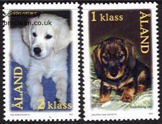 (image for) 2001 Puppies