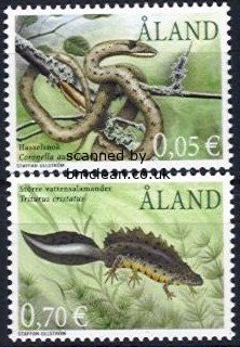 (image for) 2002 Frogs & Reptiles