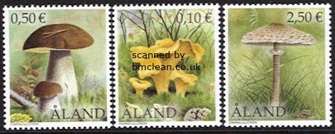 (image for) 2003 Fungi