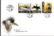 (image for) 2005 Birds