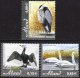 (image for) 2005 Birds