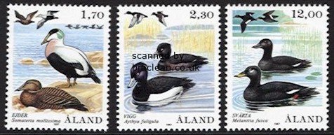 (image for) 1987 Birds