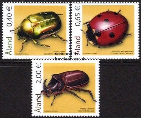 (image for) 2006 Beetles