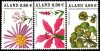 (image for) 2007 Beach Flowers