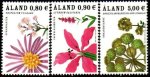 (image for) 2007 Beach Flowers