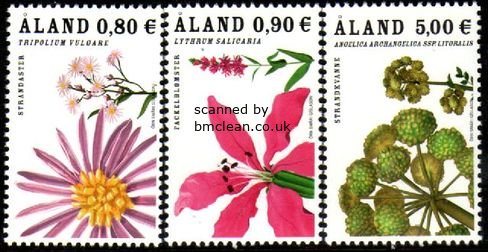 (image for) 2007 Beach Flowers