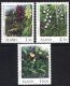 (image for) 1989 Flowers - Orchids