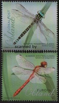 (image for) 2012 Dragonflies