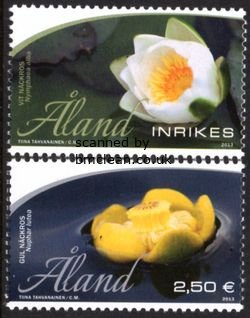 (image for) 2013 Water Lilies