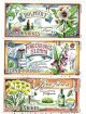 (image for) 2016 Medicinal Plants