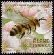 (image for) 2018 Beekeeping