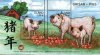 (image for) 2018 Pigs (M/S)