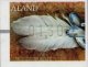 (image for) 2015 Machine Label €1.30