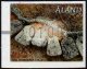 (image for) 2017 Machine Label €1.00