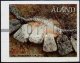 (image for) 2017 Machine Label €1.10