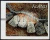 (image for) 2017 Machine Label €1.40
