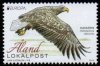(image for) 2019 Europa - Birds