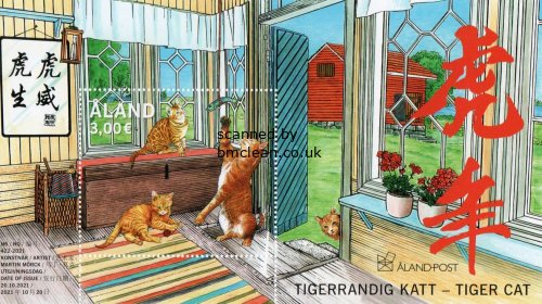 (image for) 2021 Tiger Cat (M/S)