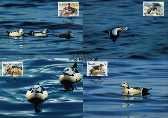 (image for) 2000 Sea Birds PHQ Card Set