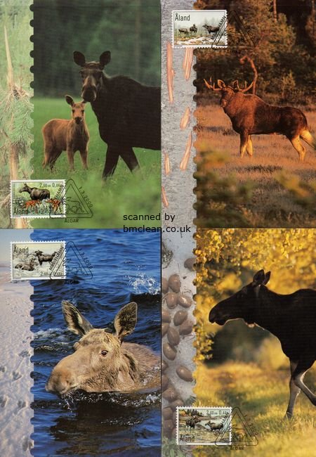(image for) 2000 The Elk Maxi. Card Set