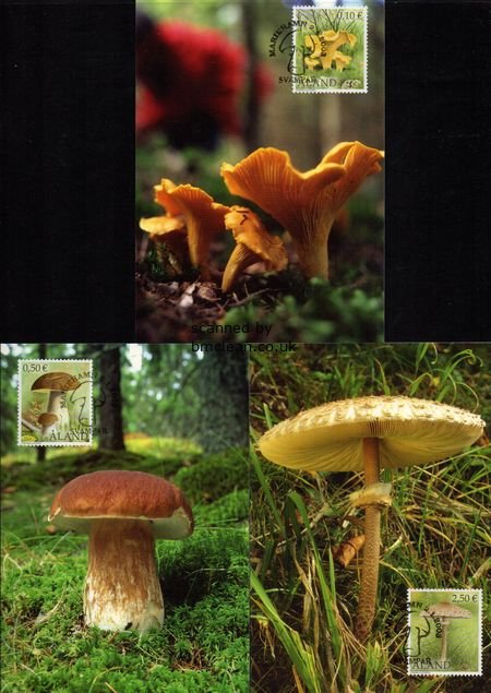 (image for) 2003 Edible Mushrooms PHQ Card Set