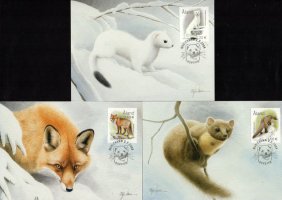 (image for) 2004 Predators PHQ Card Set