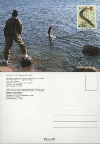 (image for) 1990 Fishes - Pike Maxi. Card
