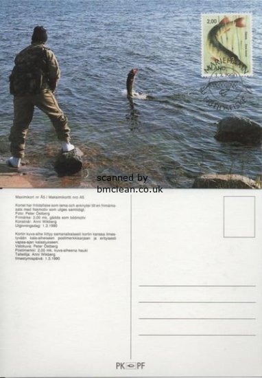(image for) 1990 Fishes - Pike Maxi. Card