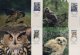 (image for) 1996 WWF Eagle Owl Maxi. Card Set