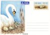 (image for) 1997 Mute Swans