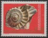 (image for) 1976 Natural History Museum