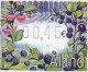 (image for) 2003 - 2005 Berries
