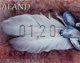 (image for) 2015 Beach Finds - Feather