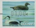 (image for) 2012 - 2014 Duck Decoys