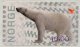 (image for) 2007 Polar Bear Design