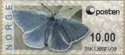 (image for) 2008 Butterfly Design